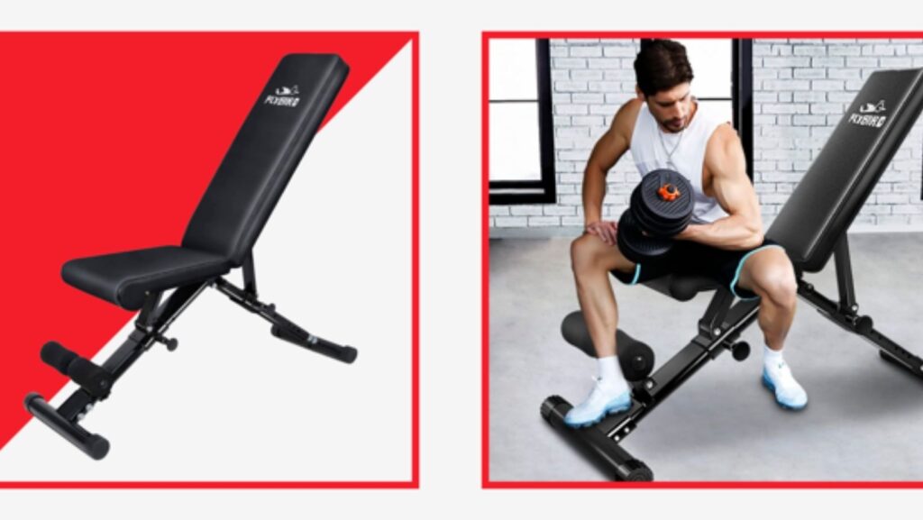 Flybird weight bench review