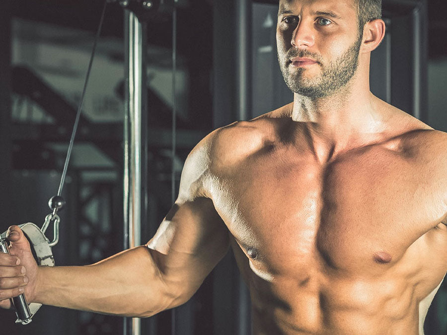 Chest Workout Exercises for Men